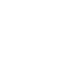 Icon Licensing | Affordable Trademark Attorney