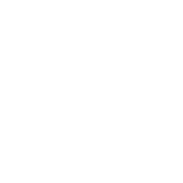 Non Beer | Beer Attorney
